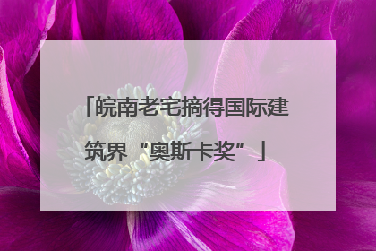 皖南老宅摘得国际建筑界“奥斯卡奖”
