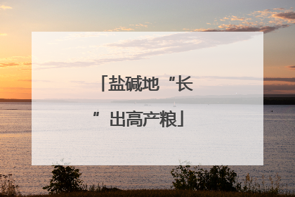 盐碱地“长”出高产粮