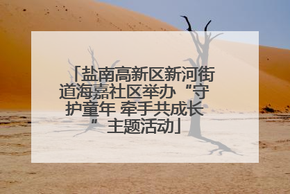 盐南高新区新河街道海嘉社区举办“守护童年 牵手共成长”主题活动