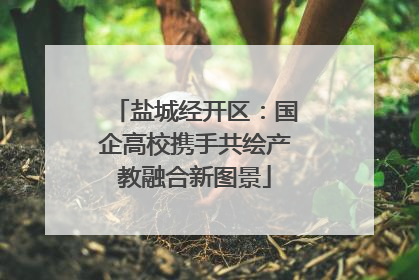 盐城经开区：国企高校携手共绘产教融合新图景