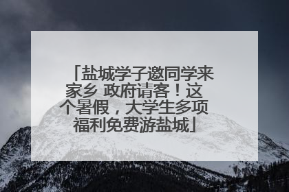 盐城学子邀同学来家乡 政府请客！这个暑假，大学生多项福利免费游盐城