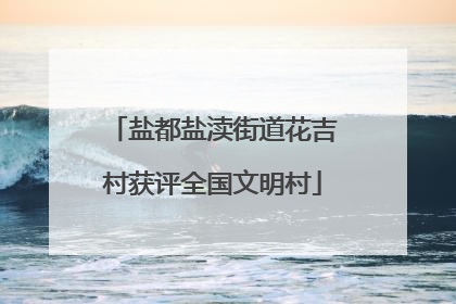 盐都盐渎街道花吉村获评全国文明村