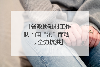 省政协驻村工作队：闻“汛”而动，全力抗洪