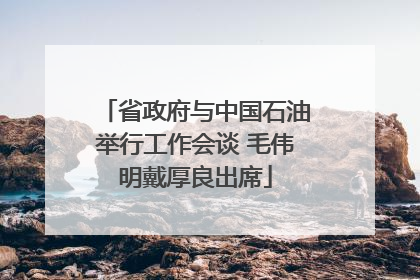 省政府与中国石油举行工作会谈 毛伟明戴厚良出席
