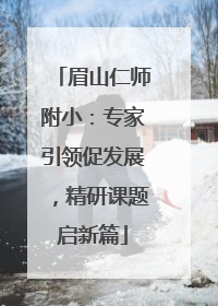 眉山仁师附小：专家引领促发展，精研课题启新篇