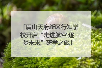 眉山天府新区行知学校开启“走进航空·逐梦未来”研学之旅