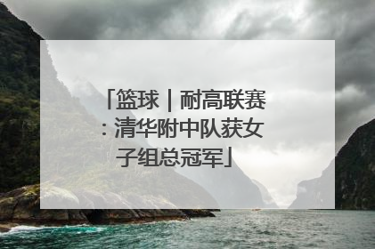 篮球｜耐高联赛：清华附中队获女子组总冠军