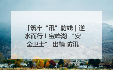 筑牢“汛”防线｜逆水而行！宝峰湖 “安全卫士” 出鞘 防汛应急再添硬核力量