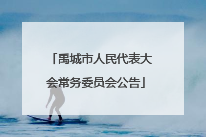 禹城市人民代表大会常务委员会公告