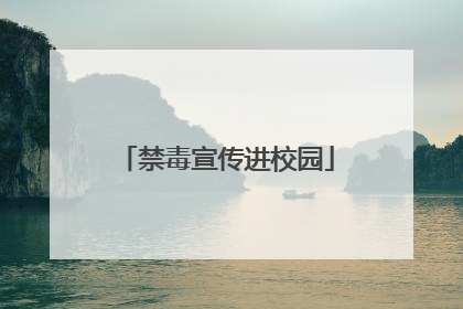 禁毒宣传进校园