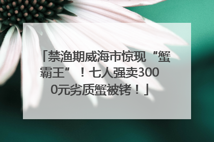 禁渔期威海市惊现“蟹霸王”！七人强卖3000元劣质蟹被铐！