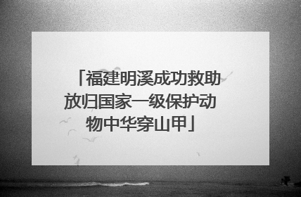 福建明溪成功救助放归国家一级保护动物中华穿山甲