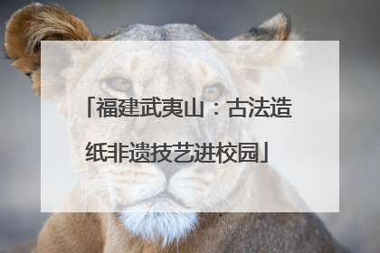 福建武夷山：古法造纸非遗技艺进校园
