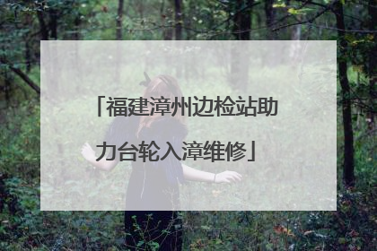 福建漳州边检站助力台轮入漳维修
