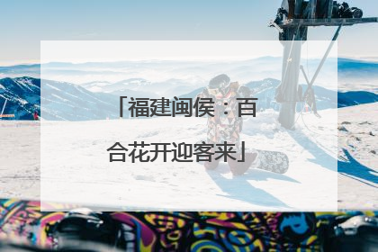福建闽侯：百合花开迎客来