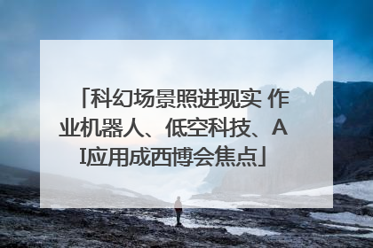 科幻场景照进现实 作业机器人、低空科技、AI应用成西博会焦点