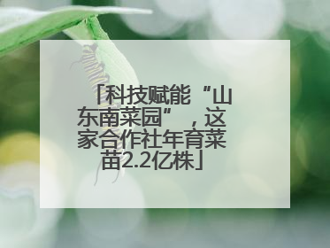 科技赋能“山东南菜园”，这家合作社年育菜苗2.2亿株
