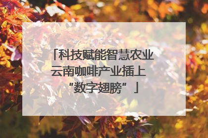 科技赋能智慧农业 云南咖啡产业插上“数字翅膀”
