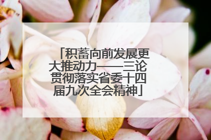 积蓄向前发展更大推动力——三论贯彻落实省委十四届九次全会精神