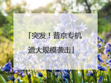 突发！普京专机遭大规模袭击