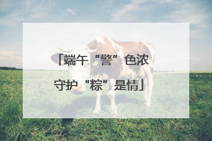 端午“警”色浓 守护“粽”是情