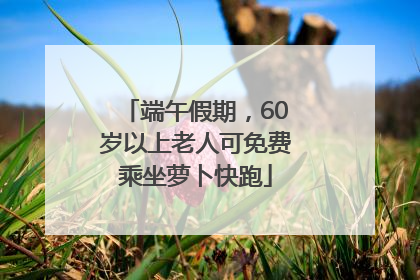 端午假期，60岁以上老人可免费乘坐萝卜快跑