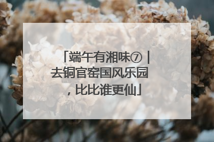 端午有湘味⑦｜去铜官窑国风乐园，比比谁更仙