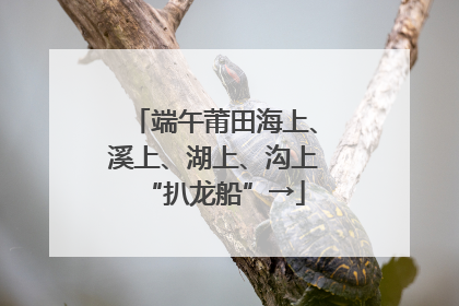 端午莆田海上、溪上、湖上、沟上“扒龙船”→