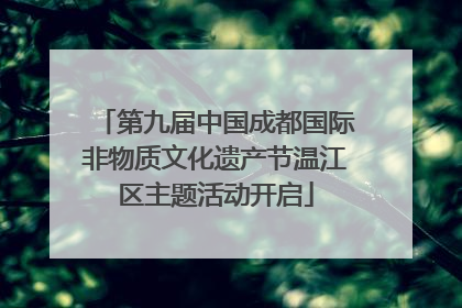 第九届中国成都国际非物质文化遗产节温江区主题活动开启