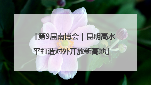 第9届南博会｜昆明高水平打造对外开放新高地