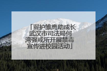翼护雏鹰助成长 武汉市司法局何湾强戒所开展禁毒宣传进校园活动