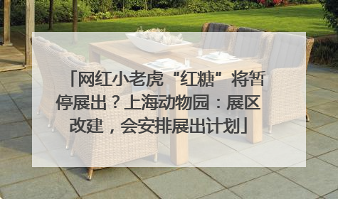 网红小老虎“红糖”将暂停展出？上海动物园：展区改建，会安排展出计划