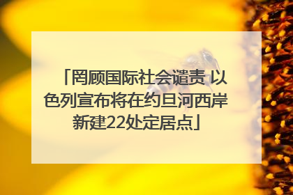 罔顾国际社会谴责 以色列宣布将在约旦河西岸新建22处定居点