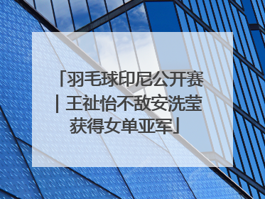 羽毛球印尼公开赛｜王祉怡不敌安洗莹 获得女单亚军
