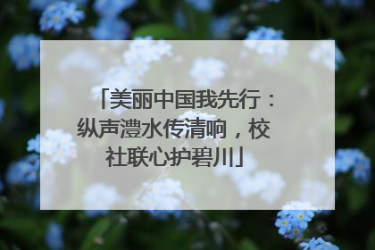 美丽中国我先行：纵声澧水传清响，校社联心护碧川