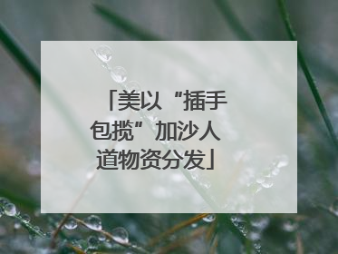 美以“插手包揽”加沙人道物资分发