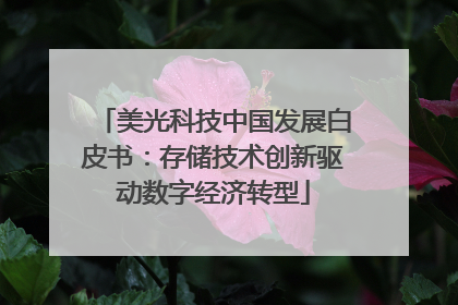 美光科技中国发展白皮书：存储技术创新驱动数字经济转型
