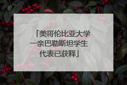 美哥伦比亚大学一亲巴勒斯坦学生代表已获释