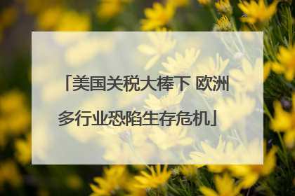 美国关税大棒下 欧洲多行业恐陷生存危机
