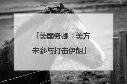 美国务卿：美方未参与打击伊朗