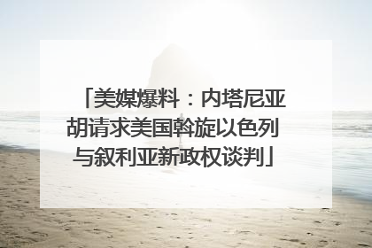 美媒爆料：内塔尼亚胡请求美国斡旋以色列与叙利亚新政权谈判
