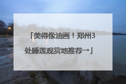 美得像油画！郑州3处睡莲观赏地推荐→