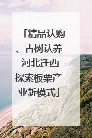 精品认购、古树认养 河北迁西探索板栗产业新模式