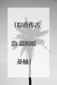 粽香传古韵 温情暖桑榆