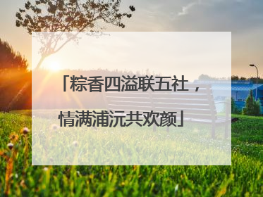 粽香四溢联五社，情满浦沅共欢颜
