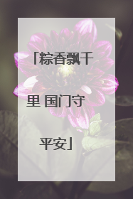 粽香飘千里 国门守平安