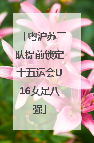 粤沪苏三队提前锁定十五运会U16女足八强