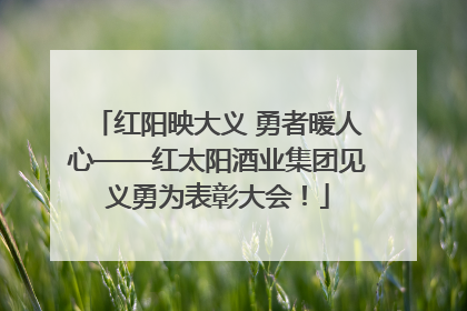红阳映大义 勇者暖人心——红太阳酒业集团见义勇为表彰大会！