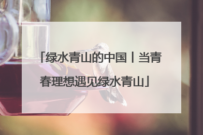 绿水青山的中国丨当青春理想遇见绿水青山