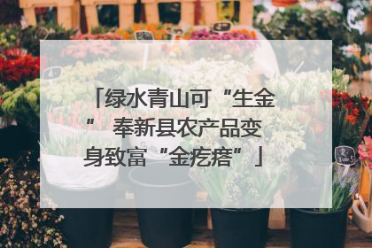 绿水青山可“生金” 奉新县农产品变身致富“金疙瘩”